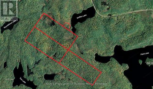 Lot lines as shown are approximations only - 1099 Wolfkin Lake Road, Lake Of Bays (Ridout), ON - 