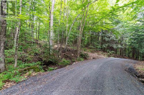 1099 Wolfkin Lake Road, Lake Of Bays (Ridout), ON - Outdoor