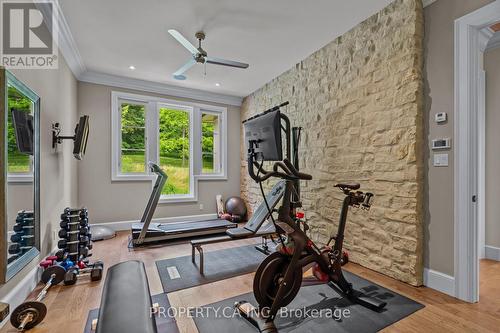 10955 Old River Road, Middlesex Centre, ON - Indoor Photo Showing Gym Room