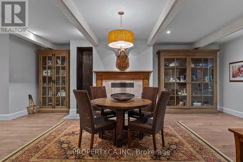 10955 Old River Road, Middlesex Centre, ON - Indoor Photo Showing Dining Room With Fireplace