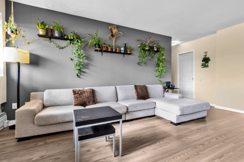 Salon - 804-6 Av. Argyle, Saint-Lambert, QC - Indoor Photo Showing Living Room