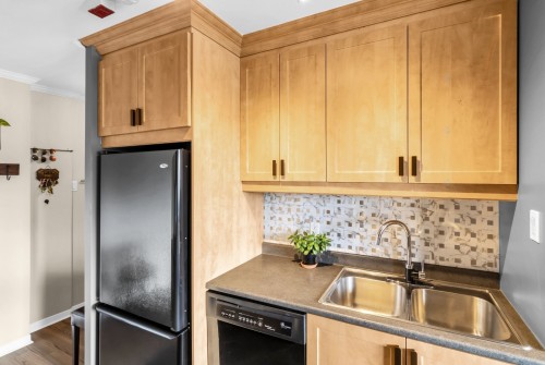 Cuisine - 804-6 Av. Argyle, Saint-Lambert, QC - Indoor Photo Showing Kitchen With Double Sink