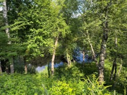 Vue sur l'eau - 