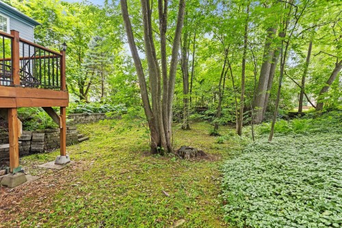 Cour - 150 Rue Hector, Rosemère, QC - Outdoor