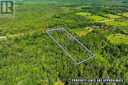 2645 DRUMMOND CONCESSION 7 ROAD N  Drummond/North Elmsley, ON K7H 3C9