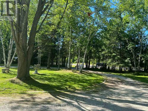 209846 26 Highway, Blue Mountains, ON - Outdoor With View