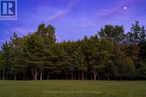 960 Lawson Road, Tiny, ON - Outdoor