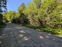 827 Nipissing Road N, Magnetawan, ON 