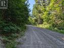 827 Nipissing Road N, Magnetawan, ON 