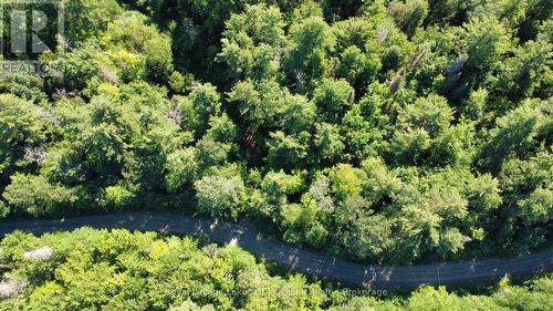 827 Nipissing Road N, Magnetawan, ON 