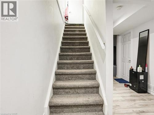 Carpeted staircase with white handrail and trim - 209 Briarmeadow Drive, Kitchener, ON - Indoor Photo Showing Other Room