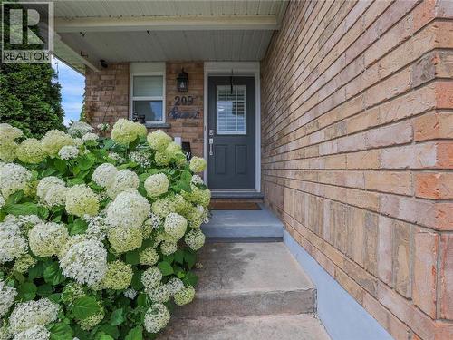 Front entry featuring a gray door with louvered glass, brick veneer siding, and a concrete pathway - 209 Briarmeadow Drive, Kitchener, ON - Outdoor
