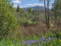 2942 Sherman Rd, Duncan, BC 
