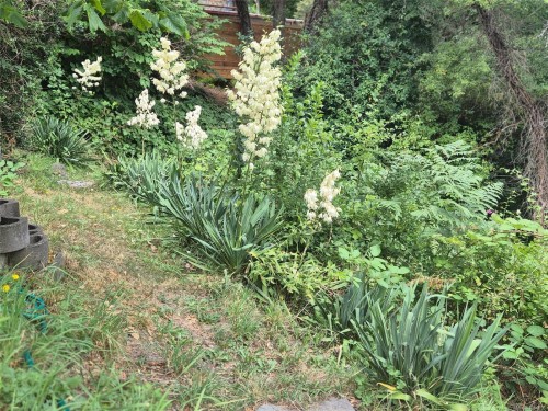 2942 Sherman Rd, Duncan, BC 