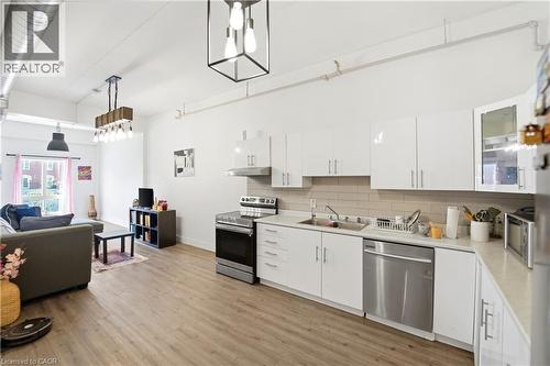 150 Colborne Street Unit# 204, Brantford, ON - Indoor Photo Showing Kitchen With Double Sink