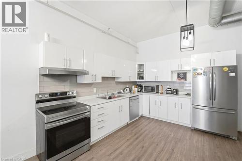 150 Colborne Street Unit# 204, Brantford, ON - Indoor Photo Showing Kitchen