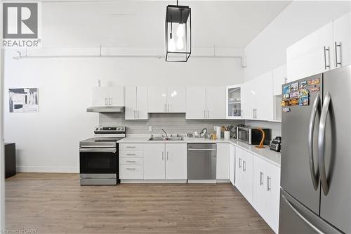 150 Colborne Street Unit# 204, Brantford, ON - Indoor Photo Showing Kitchen With Double Sink
