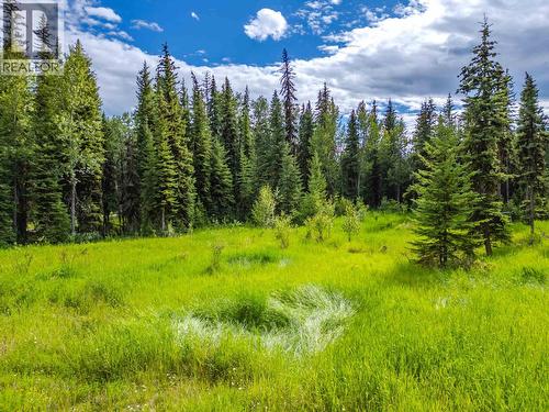 Lot 13 Unicorn Road, 100 Mile House, BC 