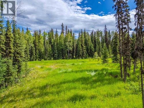 Lot 13 Unicorn Road, 100 Mile House, BC 