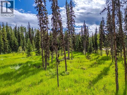 Lot 13 Unicorn Road, 100 Mile House, BC 