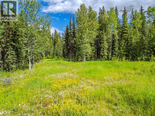 Lot 13 Unicorn Road, 100 Mile House, BC 