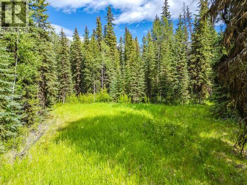 Lot 13 Unicorn Road, 100 Mile House, BC 