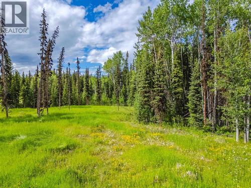 Lot 13 Unicorn Road, 100 Mile House, BC 