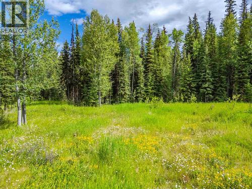 Lot 13 Unicorn Road, 100 Mile House, BC 