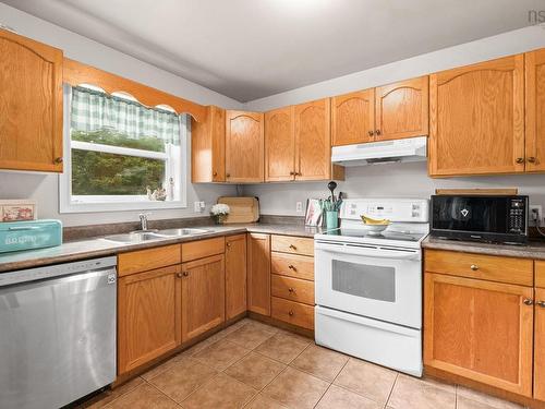 166 Dalrymple Drive, Nine Mile River, NS - Indoor Photo Showing Kitchen With Double Sink