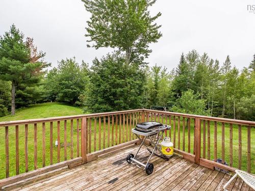 166 Dalrymple Drive, Nine Mile River, NS - Outdoor With Deck Patio Veranda With Backyard