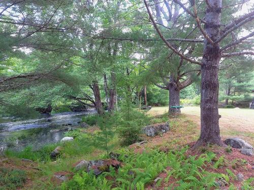 Mcgills Island Road, Middle Ohio, NS 