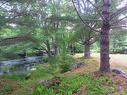 Mcgills Island Road, Middle Ohio, NS 