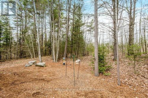 119 Earl Street, Wasaga Beach, ON - Outdoor With View