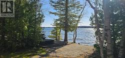 294 TAMMY'S COVE ROAD  Northern Bruce Peninsula, ON N0H 1W0
