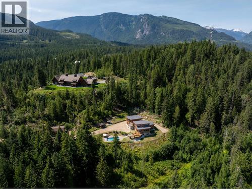 1917 Mt Mcpherson Drive, Revelstoke, BC - Outdoor With View