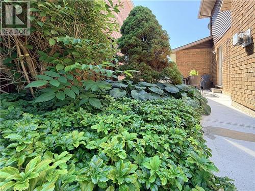 Concrete walkway to back yard from the side entance. - 7 Mann Avenue, Simcoe, ON - Outdoor