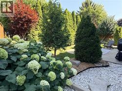 Landscaped backyard featuring mature trees, a hydrangea bush with white blooms, a concrete patio, a gravel border, and a manicured lawn. - 