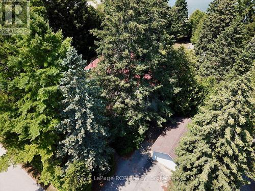 Completely set in trees for year-round privacy. - 2 William Street, Northern Bruce Peninsula, ON - Outdoor
