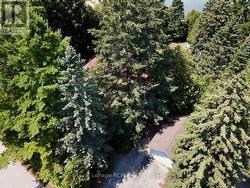 Completely set in trees for year-round privacy. - 