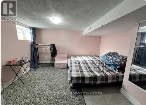 Basement - 22 Alice Street, Hamilton, ON - Indoor Photo Showing Bedroom