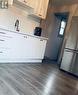 22 Alice Street, Hamilton, ON  - Indoor Photo Showing Kitchen 