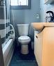 22 Alice Street, Hamilton, ON  - Indoor Photo Showing Bathroom 