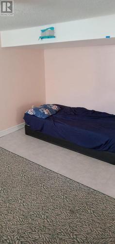 Basement - 22 Alice Street, Hamilton, ON -  Photo Showing Other Room