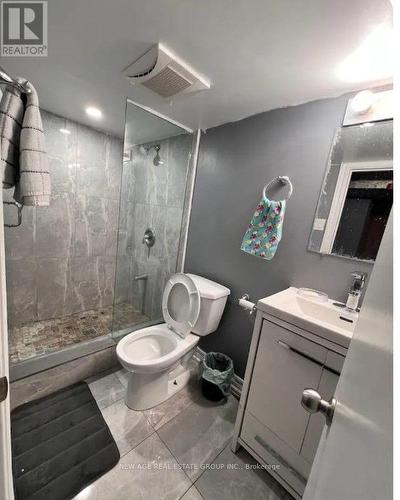 Basement - 22 Alice Street, Hamilton, ON - Indoor Photo Showing Bathroom