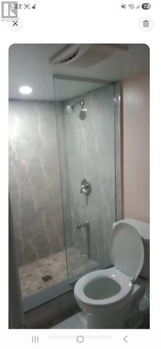 Basement - 22 Alice Street, Hamilton, ON - Indoor Photo Showing Bathroom
