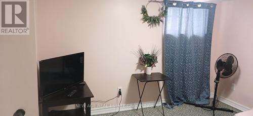 Basement - 22 Alice Street, Hamilton, ON - Indoor Photo Showing Other Room