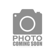 504-666 Spadina Avenue  Toronto, ON M5S 2H8