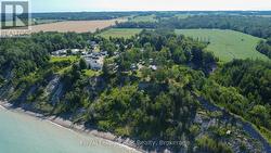 Lots of mature trees - 