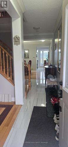 13 Antelope Drive, Toronto, ON - Indoor Photo Showing Other Room