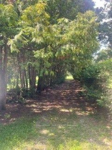 38 Lembitu Avenue, Georgina, ON 